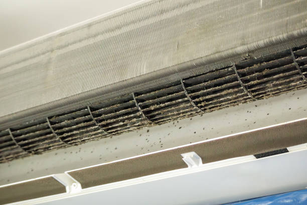 Best Air Duct Cleaning Near Me  in Allen, TX